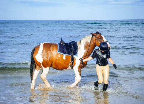 Horse Riding