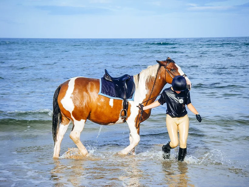 Horse Riding